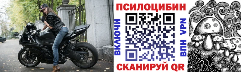 Галлюциногенные грибы Psilocybe  закладка  Безенчук 